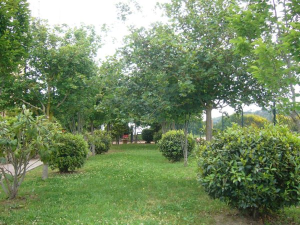 appartamento in vendita a Gambassi Terme