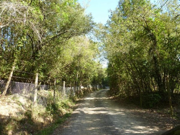 azienda agricola in vendita a Gambassi Terme