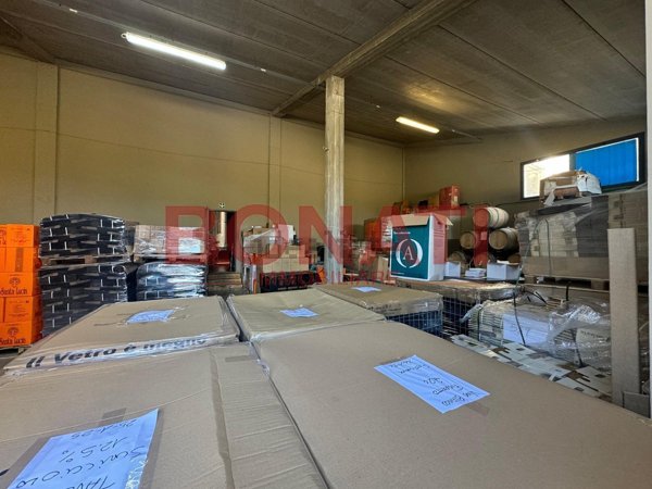 azienda agricola in vendita a Gambassi Terme in zona Varna