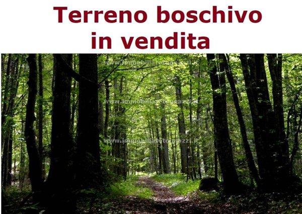 terreno agricolo in vendita a Gambassi Terme