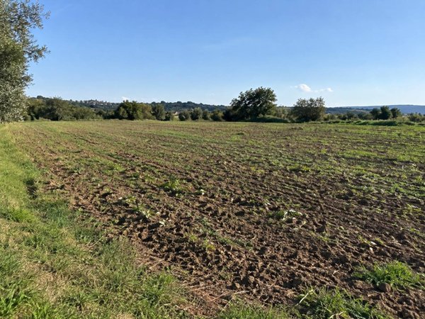 terreno agricolo in vendita a Gambassi Terme