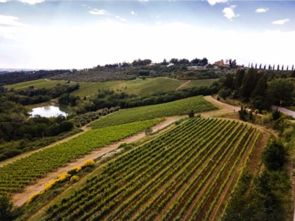 azienda agricola in vendita a Greve in Chianti