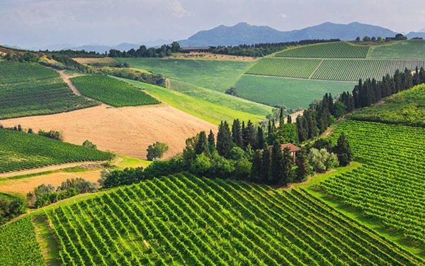 casa indipendente in vendita a Greve in Chianti