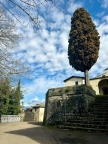 appartamento in vendita a Greve in Chianti