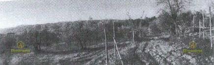 negozio in vendita a Greve in Chianti