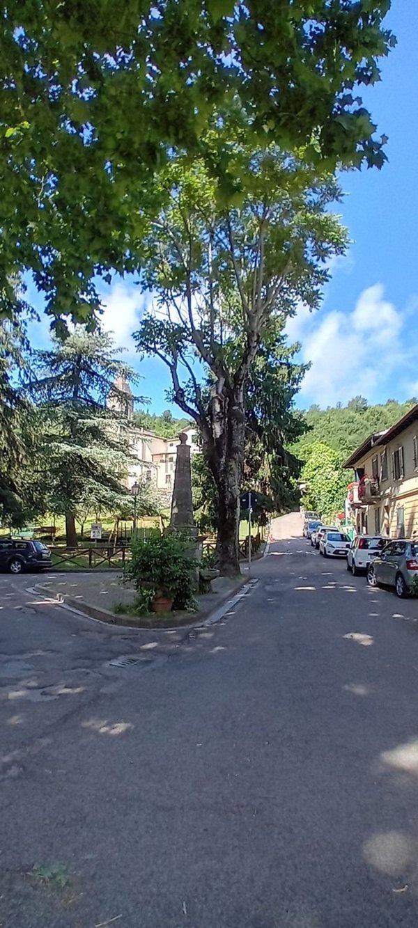 appartamento in vendita a Greve in Chianti