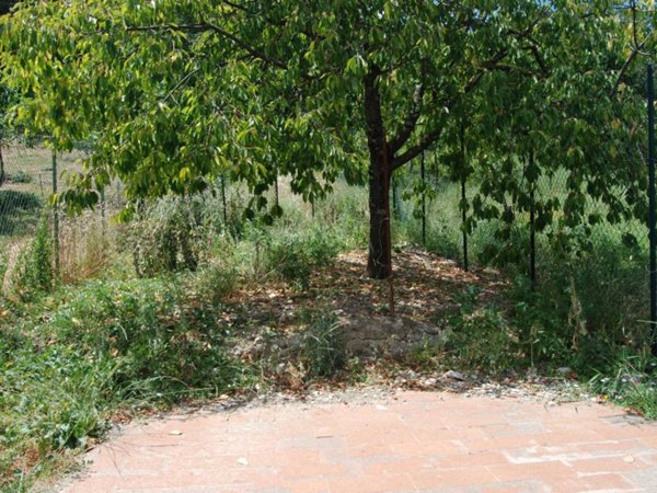 appartamento in vendita a Greve in Chianti