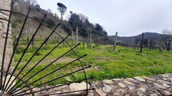 locale di sgombero in vendita a Greve in Chianti