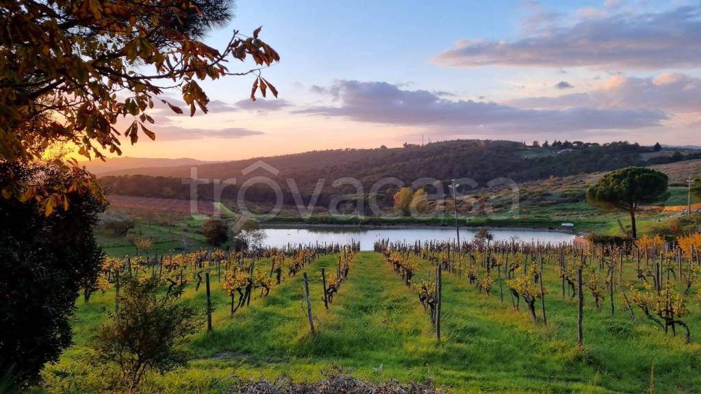 casa indipendente in vendita a Greve in Chianti in zona Chiocchio