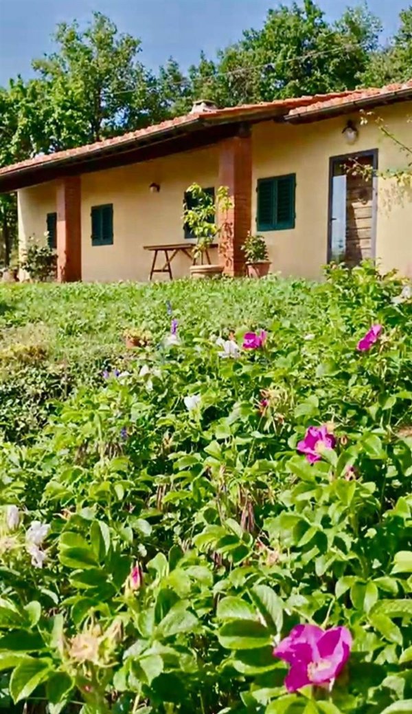 appartamento in vendita a Greve in Chianti in zona Casole