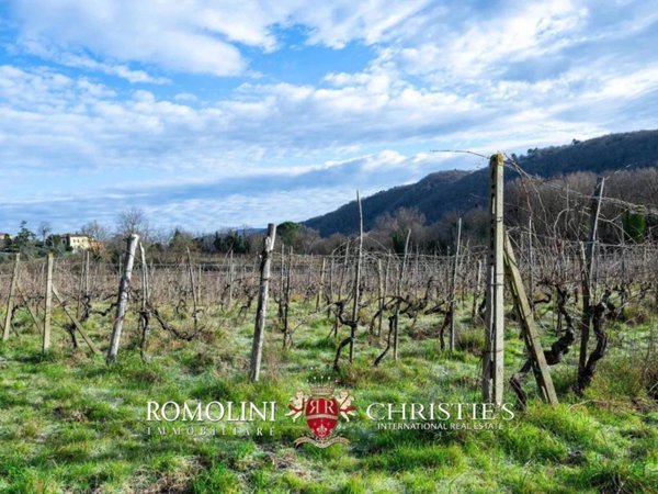 casa indipendente in vendita a Greve in Chianti