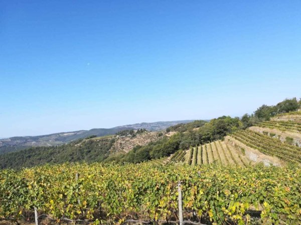 casa indipendente in vendita a Greve in Chianti in zona Lamole
