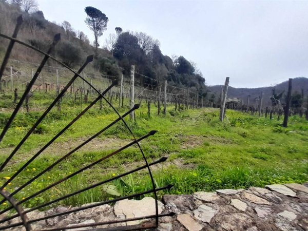 locale di sgombero in vendita a Greve in Chianti