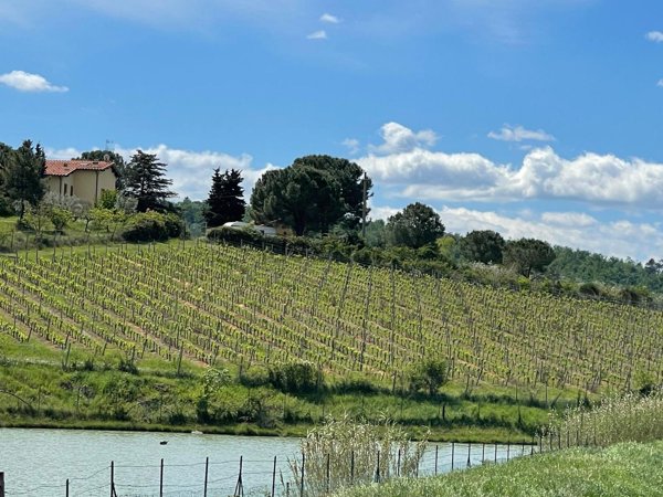 casa indipendente in vendita a Greve in Chianti