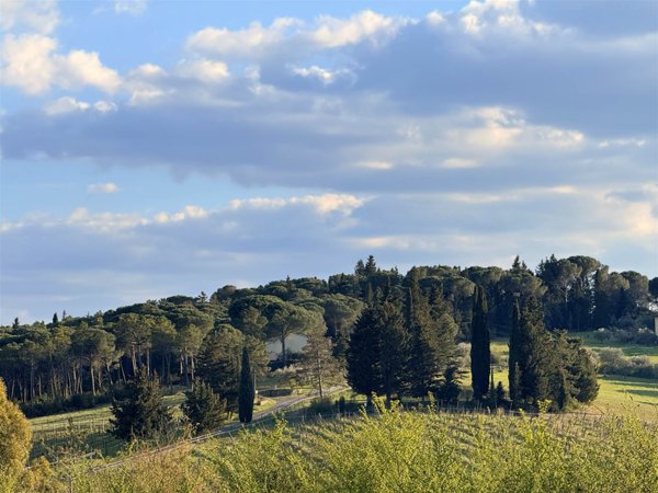 appartamento in vendita a Greve in Chianti in zona Chiocchio