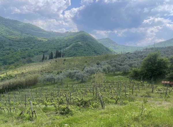 terreno agricolo in vendita a Greve in Chianti