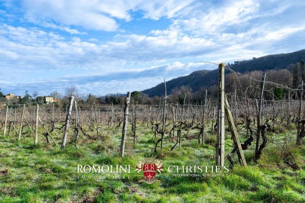 casa indipendente in vendita a Greve in Chianti