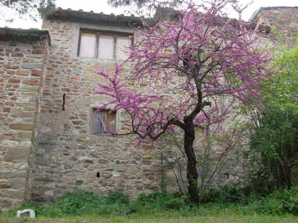 casa indipendente in vendita a Greve in Chianti