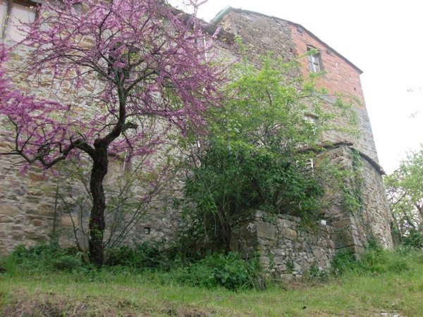appartamento in vendita a Greve in Chianti