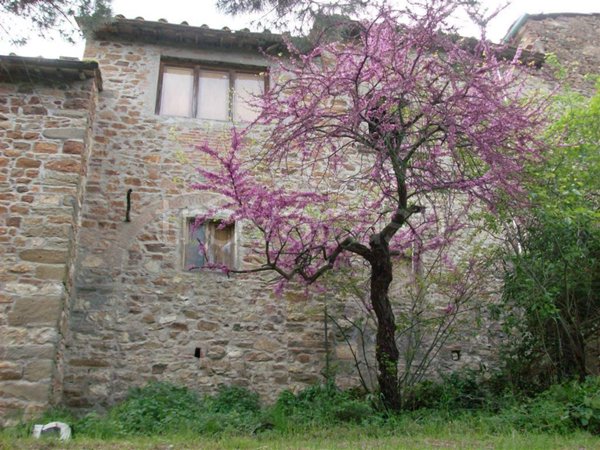 appartamento in vendita a Greve in Chianti
