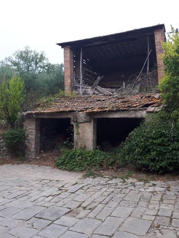 immagine annuncio 0 di 1