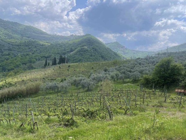 terreno agricolo in vendita a Greve in Chianti