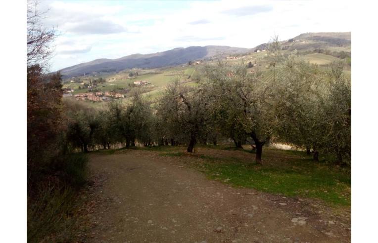 terreno agricolo in vendita a Greve in Chianti in zona Panzano in Chianti