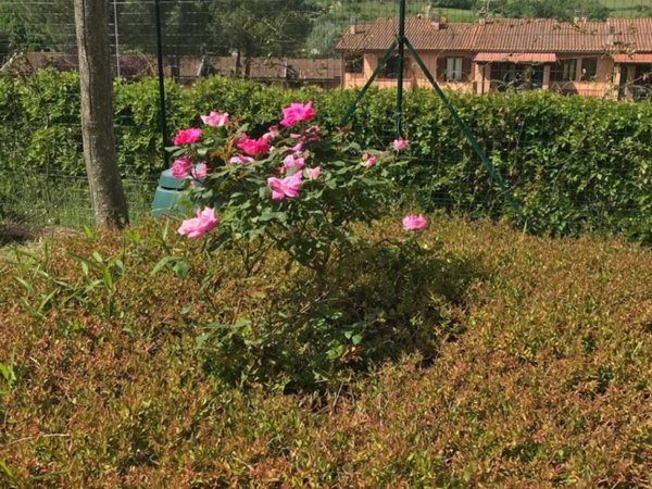 casa indipendente in vendita a Greve in Chianti