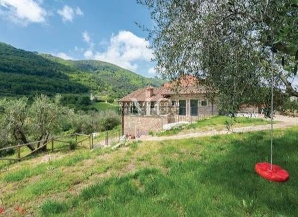 esavano in vendita a Greve in Chianti