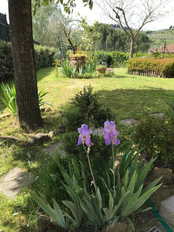casa indipendente in vendita a Greve in Chianti