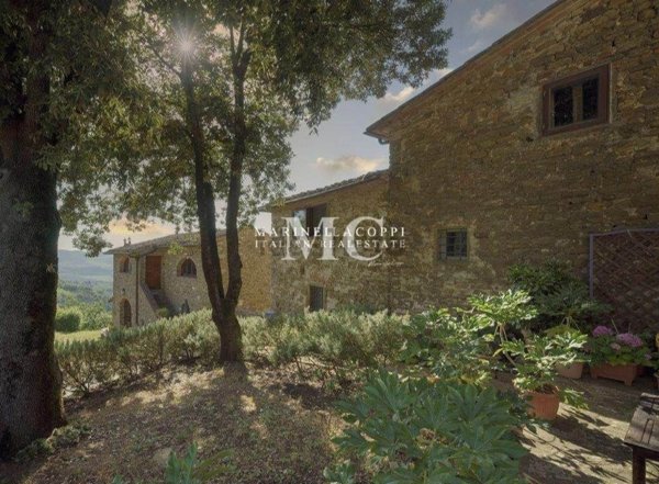 azienda agricola in vendita a Greve in Chianti
