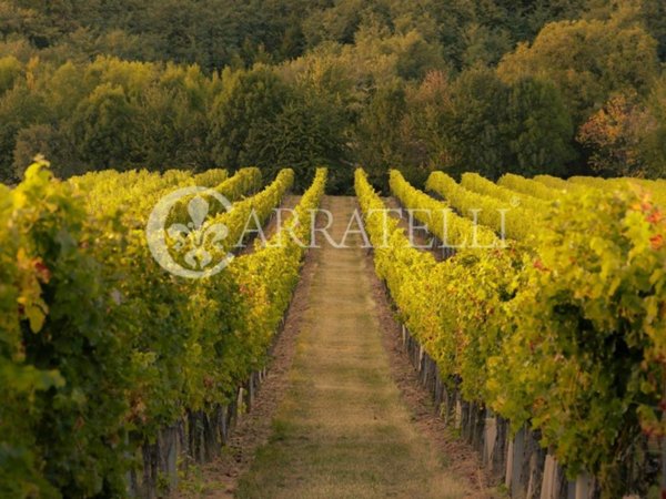 negozio in vendita a Greve in Chianti