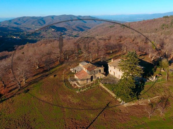 casa indipendente in vendita a Greve in Chianti