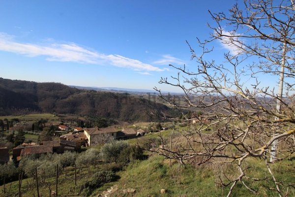 pentavano in vendita a Greve in Chianti in zona Lamole