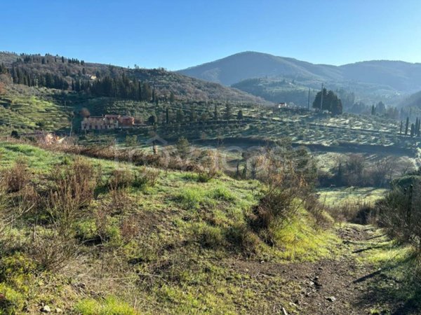 terreno agricolo in vendita a Greve in Chianti