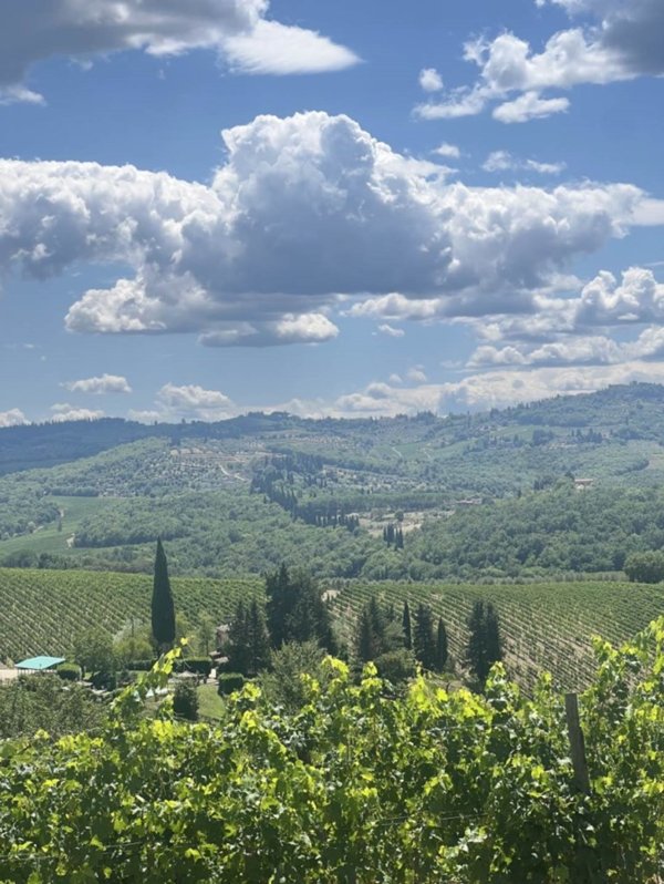 appartamento in vendita a Greve in Chianti