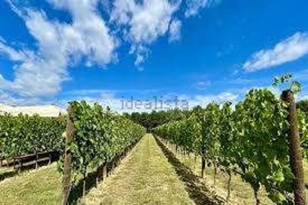azienda agricola in vendita a Greve in Chianti in zona Strada in Chianti