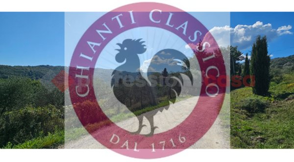 negozio in vendita a Greve in Chianti