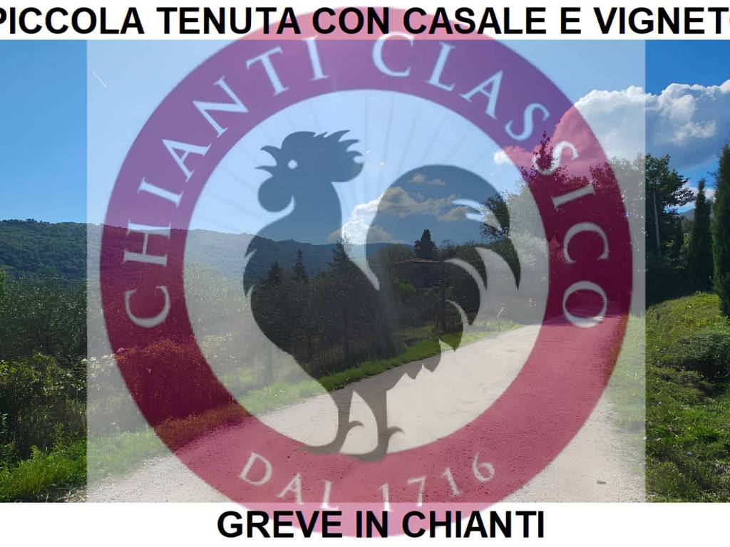 negozio in vendita a Greve in Chianti