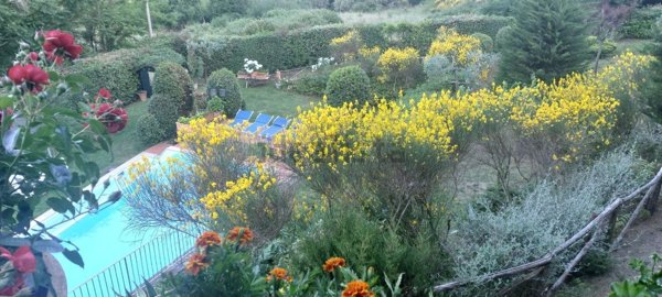 appartamento in vendita a Greve in Chianti