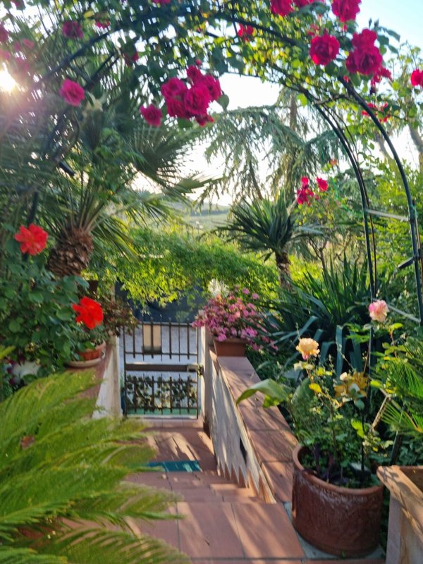 casa indipendente in vendita a Greve in Chianti in zona Chiocchio