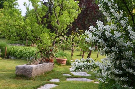 appartamento in vendita a Greve in Chianti