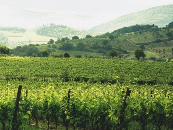 casa indipendente in vendita a Greve in Chianti