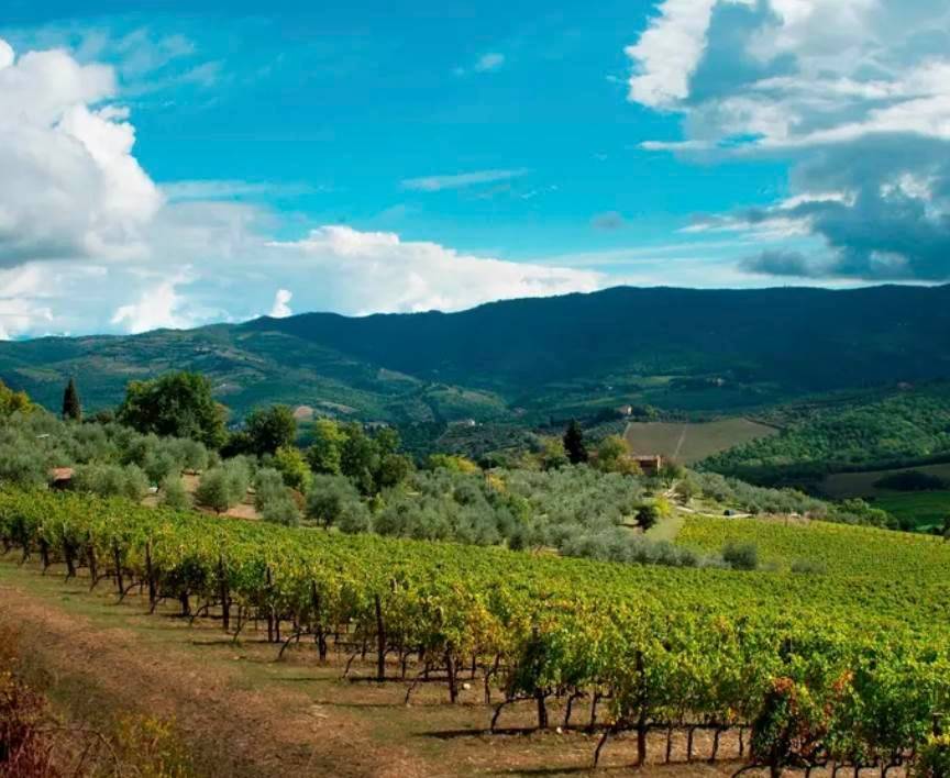 casa indipendente in vendita a Greve in Chianti
