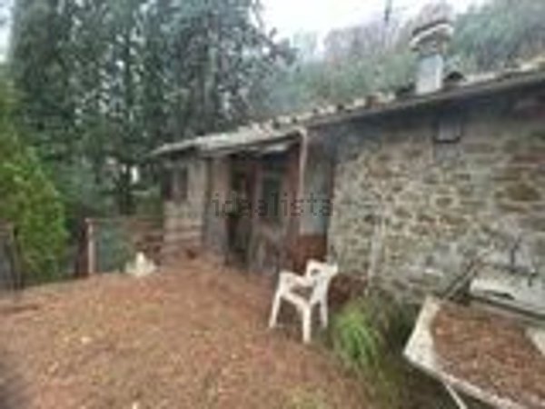 esavano in vendita a Greve in Chianti