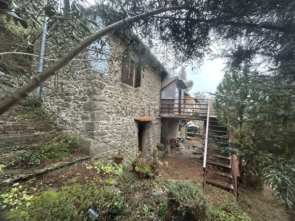 esavano in vendita a Greve in Chianti