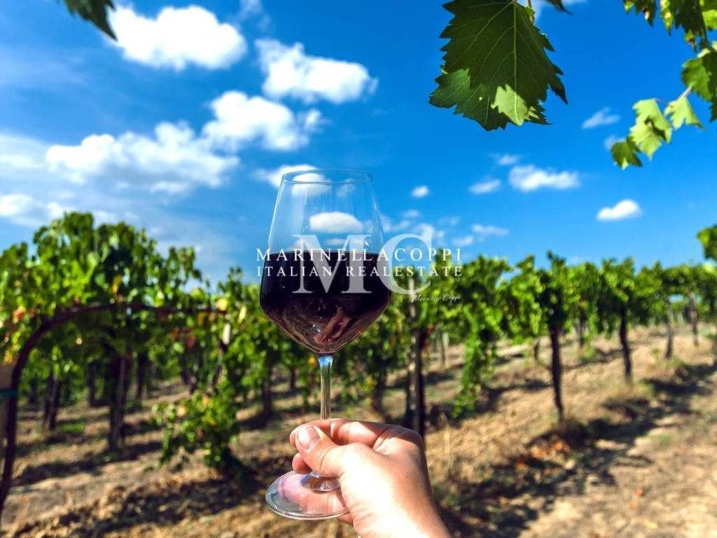 casa indipendente in vendita a Greve in Chianti