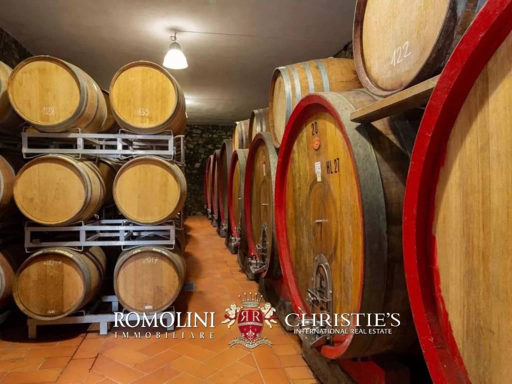 azienda agricola in vendita a Greve in Chianti