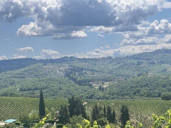 appartamento in vendita a Greve in Chianti