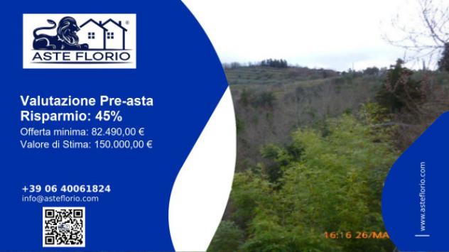 terreno agricolo in vendita a Greve in Chianti